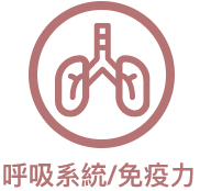 呼吸系統/免疫力